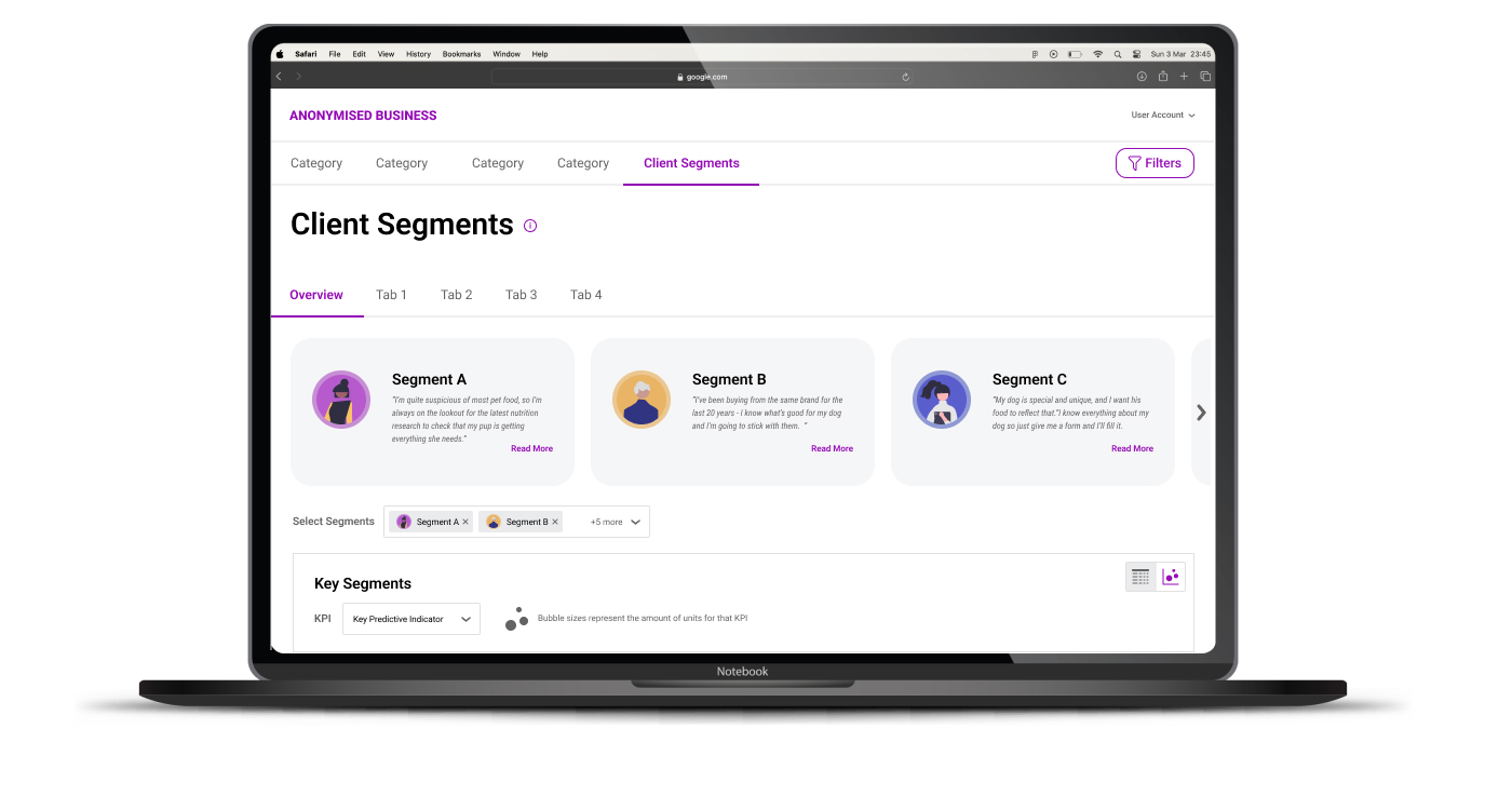 Anonymised screenshot of the Client Segments product feature